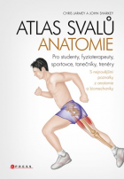 Atlas svalů – anatomie
