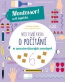 Moje první kniha o počítání (Montessori: Svět úspěchů)